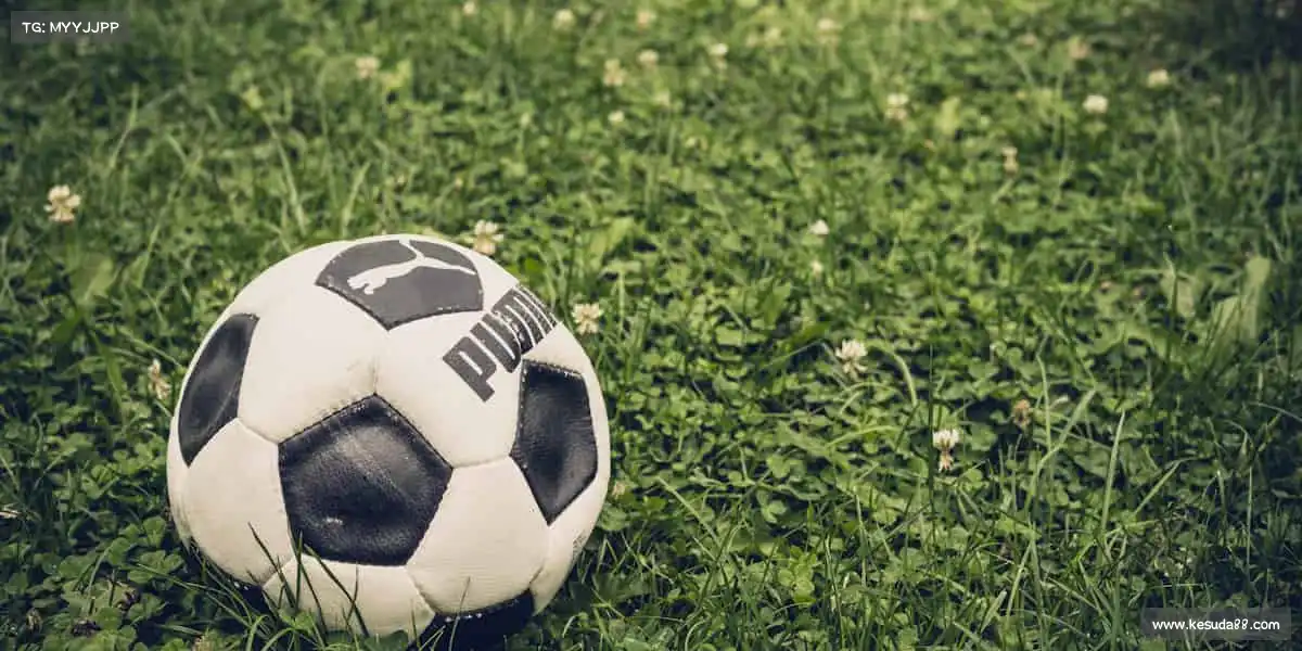 行业领先的理由